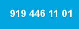919 446 11 01 919 446 11 01